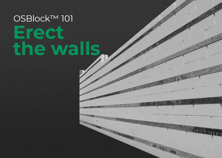 Erect the walls